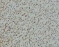 Anti-RPA32/RPA2 Antibody Picoband™ (monoclonal, 3B2E9)